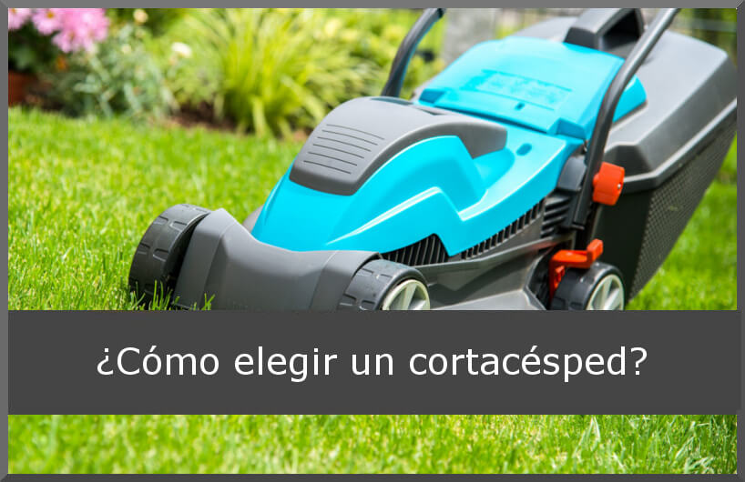 ¿Cómo elegir un cortacésped?