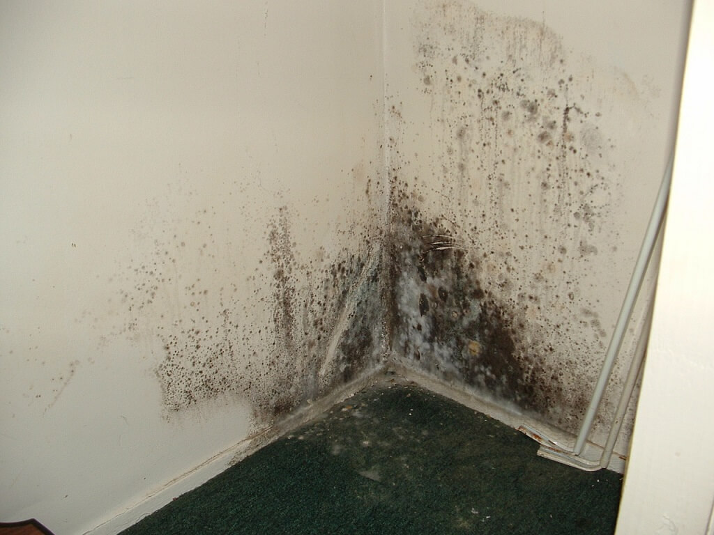 ¿Cómo quitar la humedad en las paredes de la habitación?