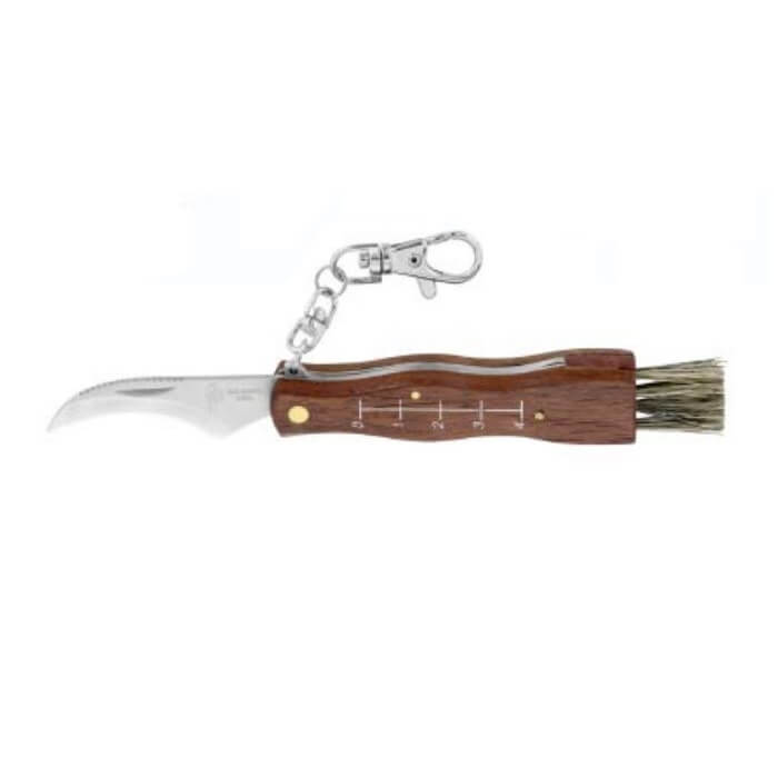 Navaja recolectar setas Flores Cortés con hoja de INOX de 80mm - Referencia 19002